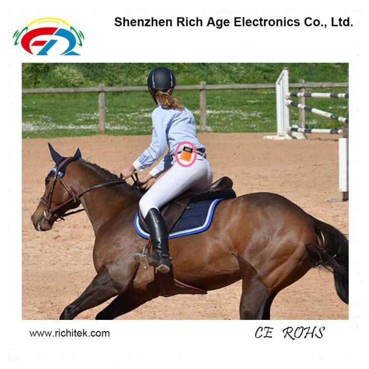 Mga Horse Riding Teaching gamit ang wireless Sound Transmission System(图1)